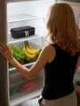 YOUSHARES 18-Slot Fridge Vial Case — shelf placement